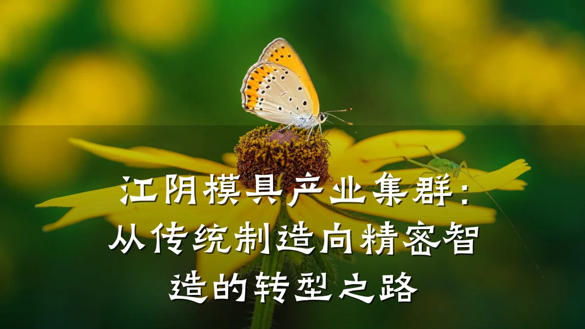 江阴模具产业集群:从传统制造向精密智造的转型之路