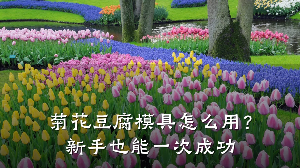 菊花豆腐模具怎么用?新手也能一次成功