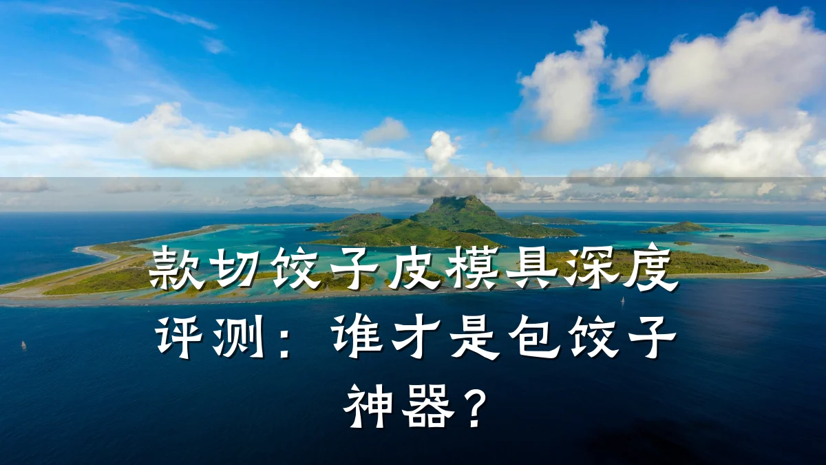 款切饺子皮模具深度评测:谁才是包饺子神器?