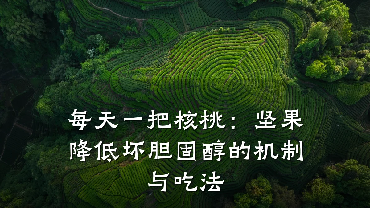 每天一把核桃:坚果降低坏胆固醇的机制与吃法