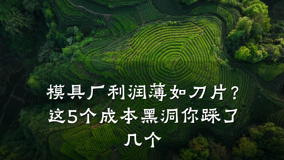 模具厂利润薄如刀片?这5个成本黑洞你踩了几个