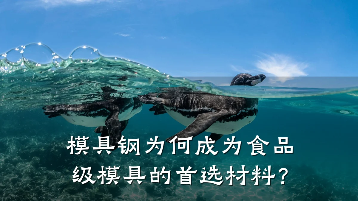 模具钢为何成为食品级模具的首选材料?