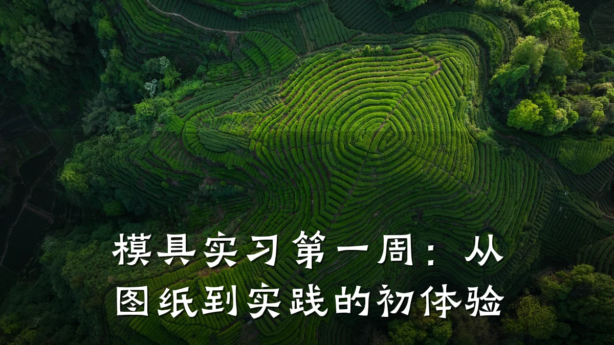 模具实习第一周：从图纸到实践的初体验