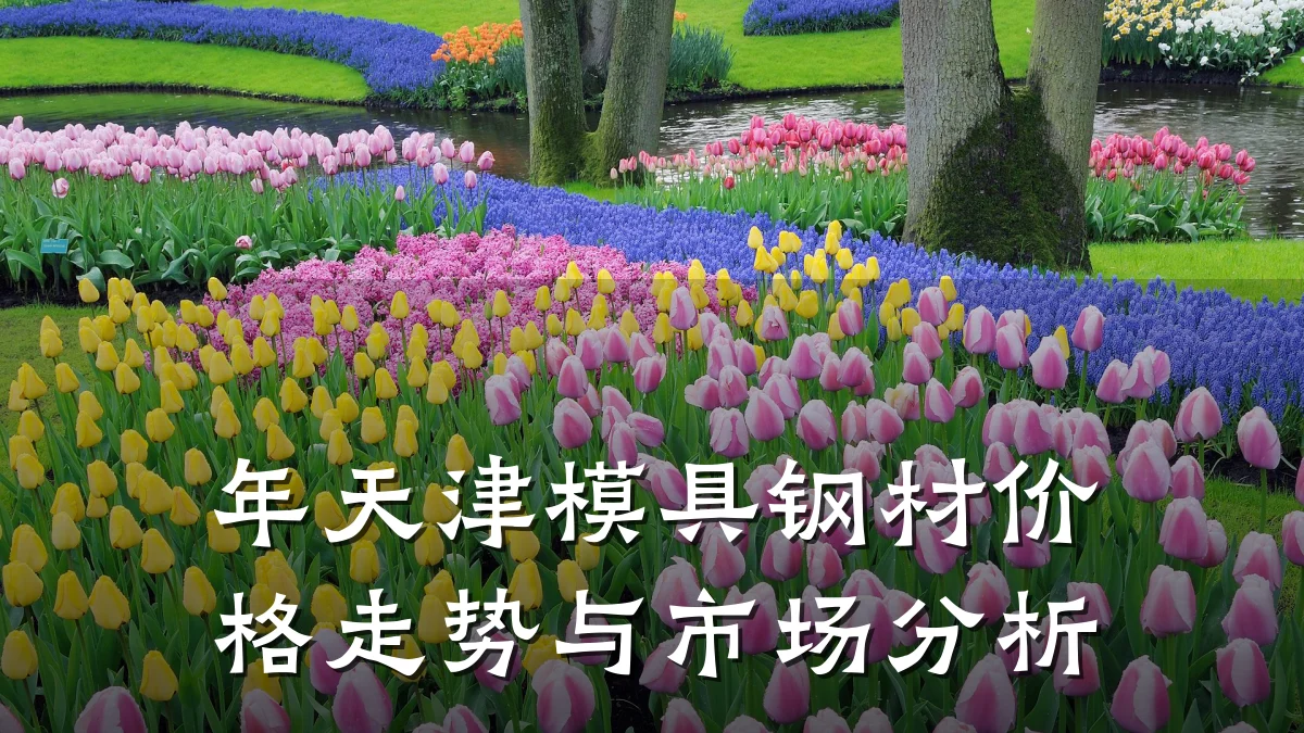 年天津模具钢材价格走势与市场分析