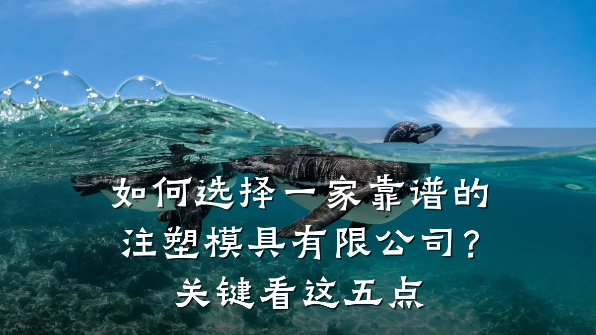 如何选择一家靠谱的注塑模具有限公司?关键看这五点