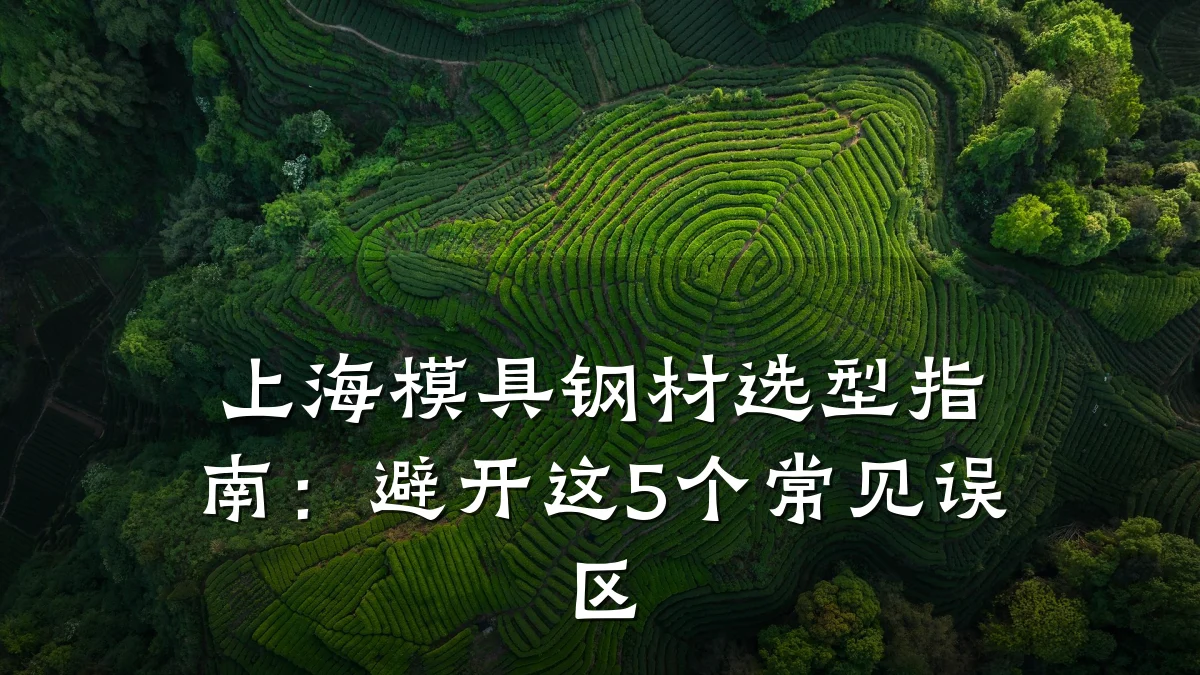 上海模具钢材选型指南:避开这5个常见误区