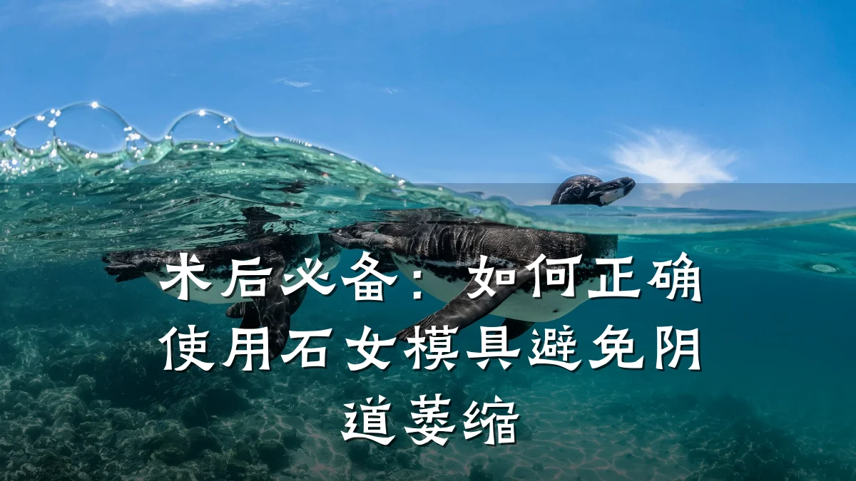 术后必备:如何正确使用石女模具避免阴道萎缩