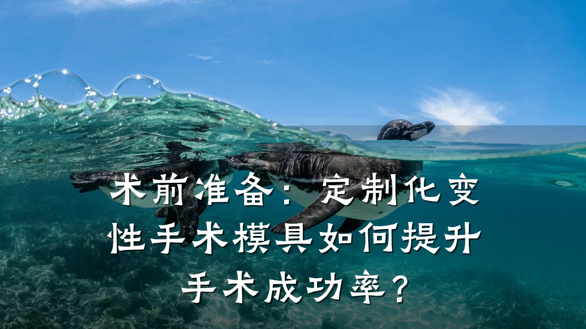 术前准备:定制化变性手术模具如何提升手术成功率?