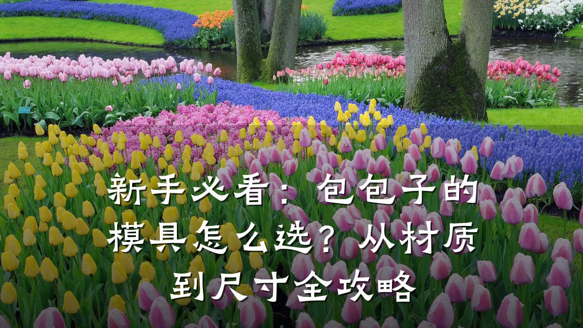新手必看:包包子的模具怎么选?从材质到尺寸全攻略