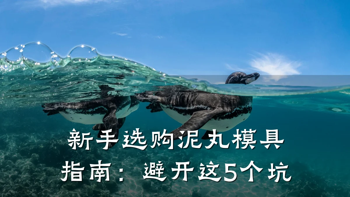 新手选购泥丸模具指南:避开这5个坑