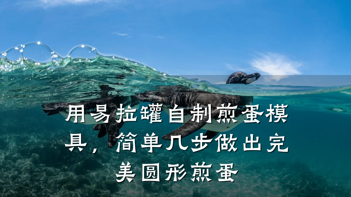用易拉罐自制煎蛋模具,简单几步做出完美圆形煎蛋