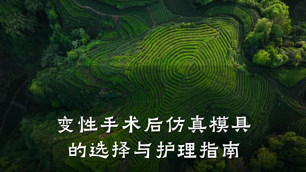 变性手术后仿真模具的选择与护理指南