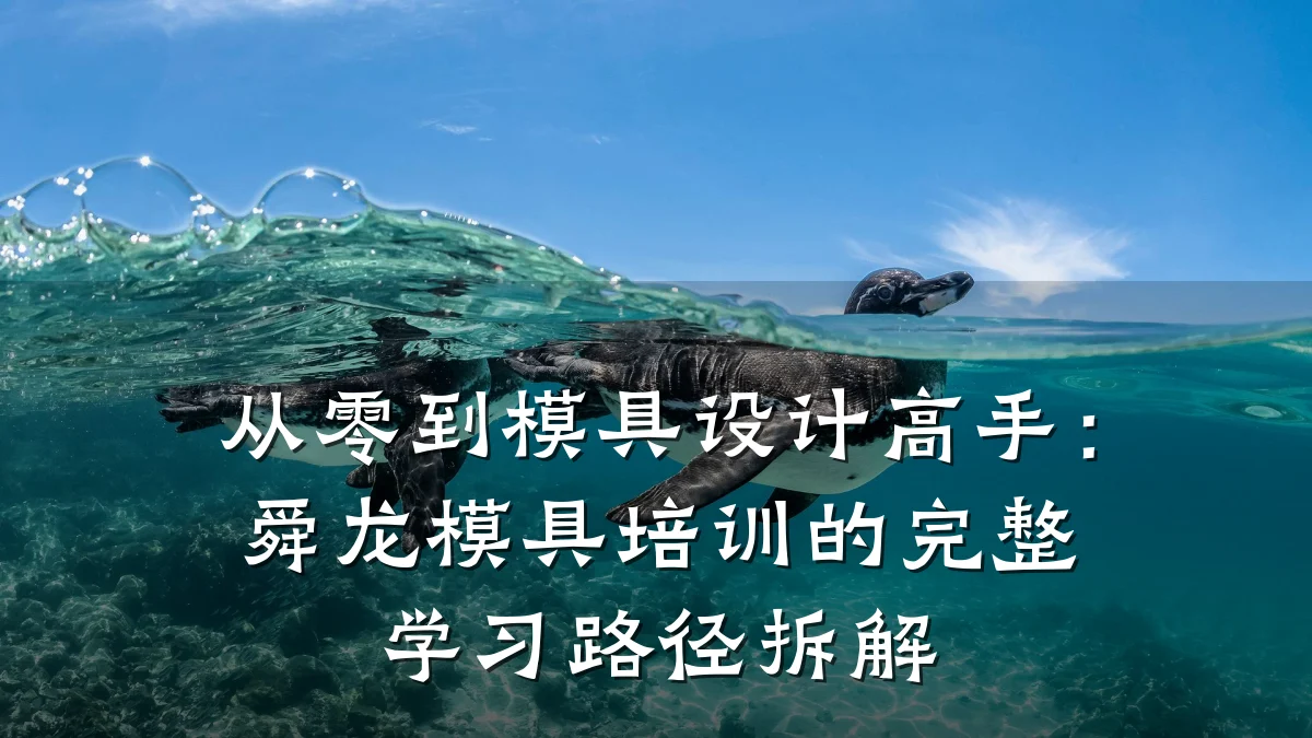 从零到模具设计高手:舜龙模具培训的完整学习路径拆解