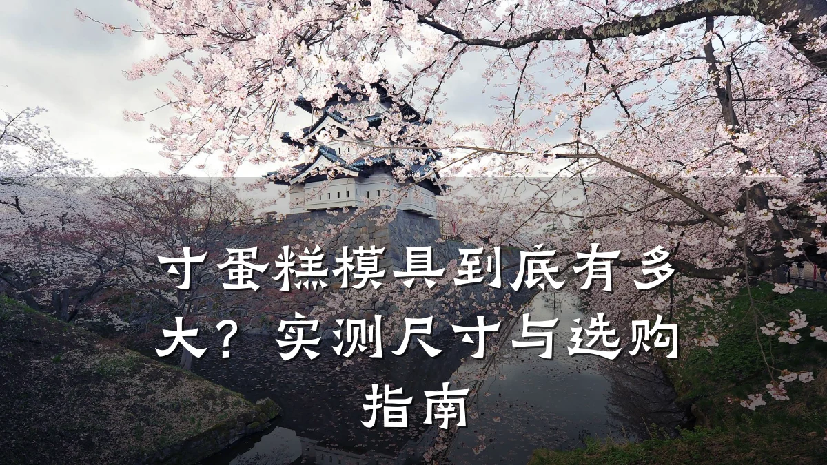 寸蛋糕模具到底有多大？实测尺寸与选购指南