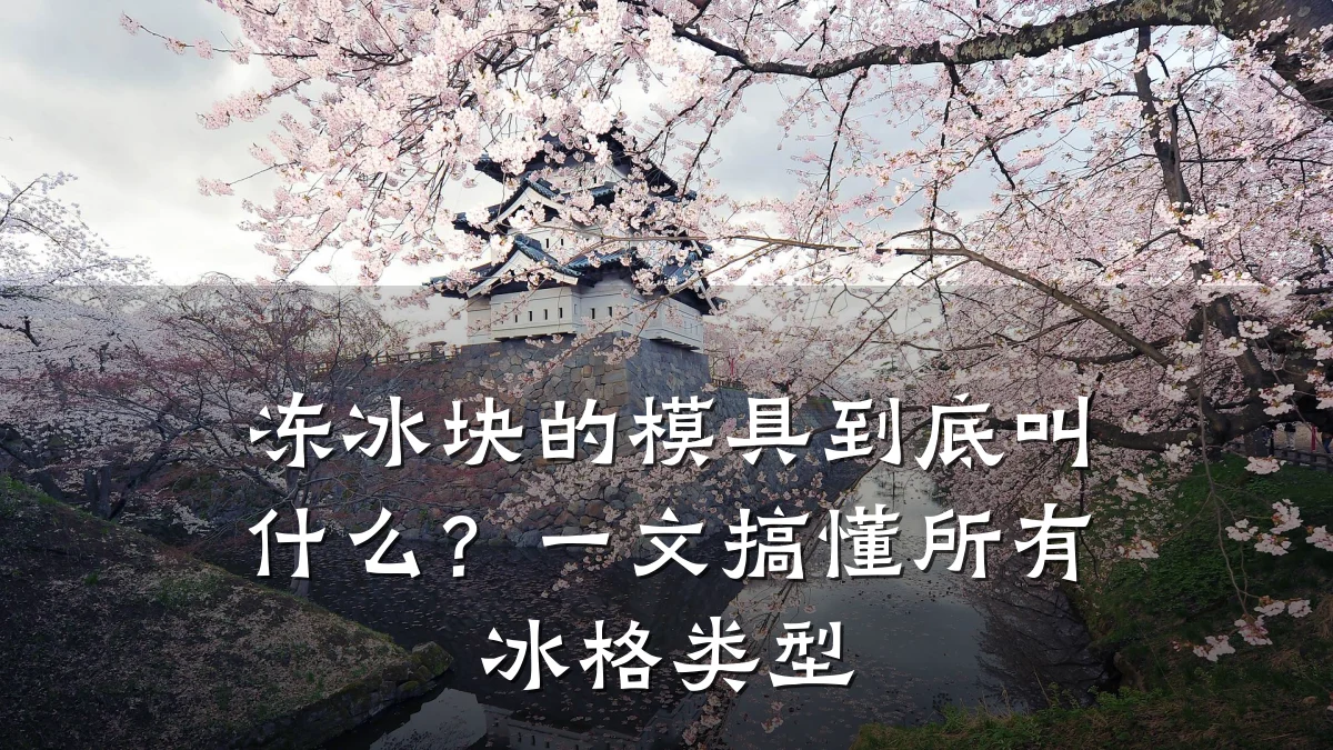 冻冰块的模具到底叫什么?一文搞懂所有冰格类型