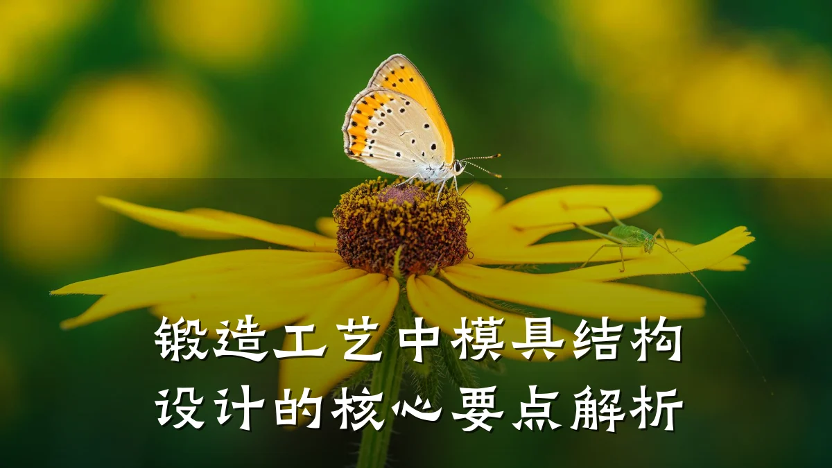 锻造工艺中模具结构设计的核心要点解析