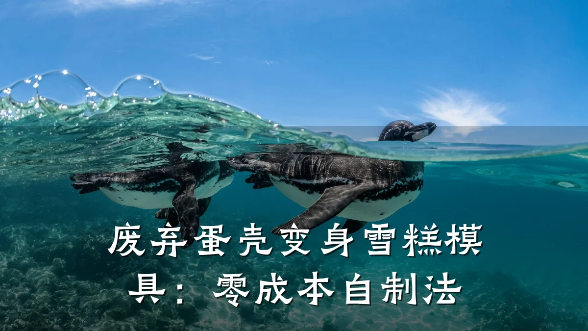 废弃蛋壳变身雪糕模具：零成本自制法