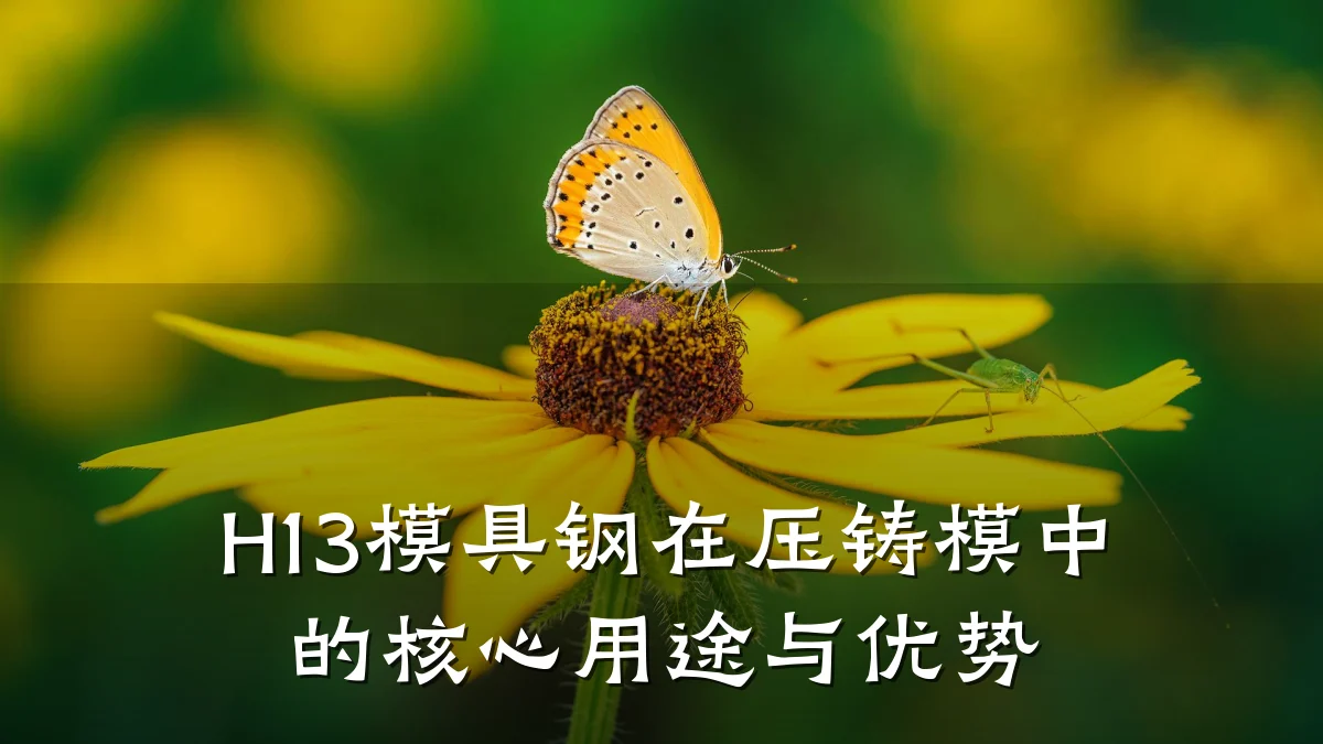 H13模具钢在压铸模中的核心用途与优势