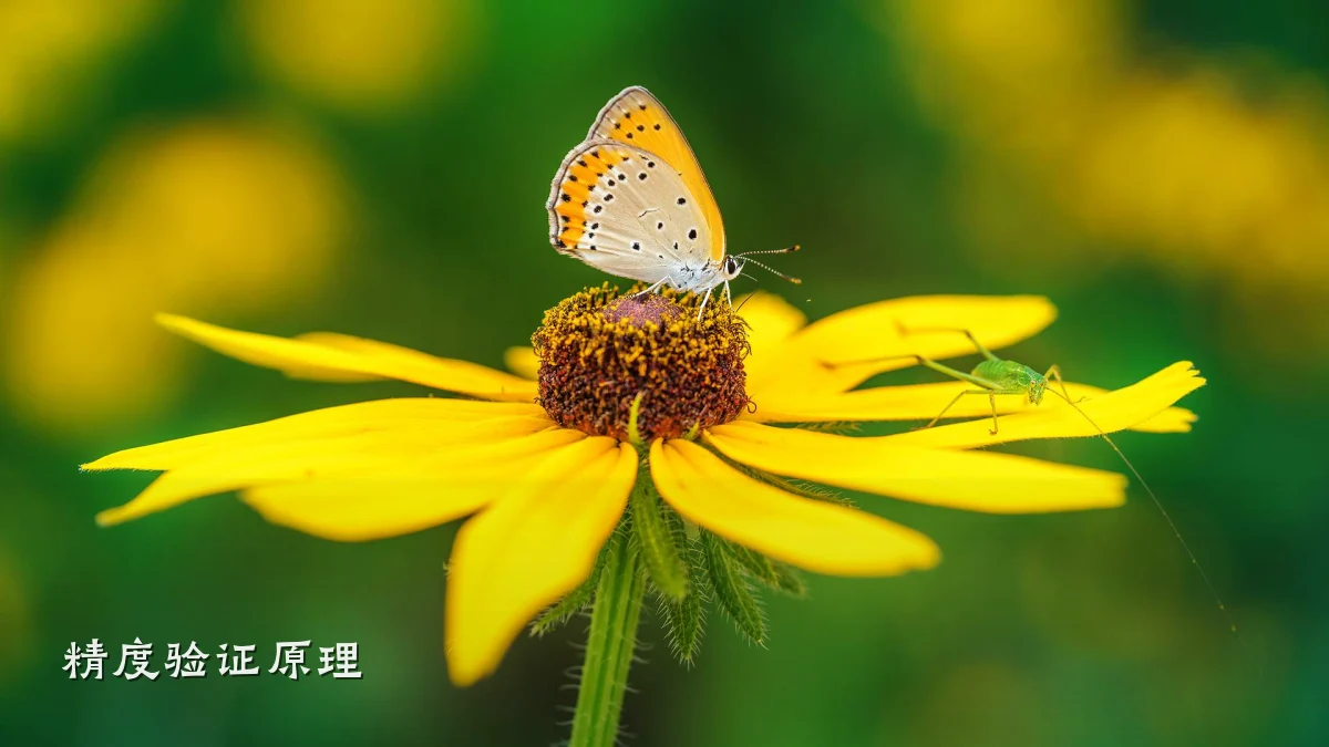 精度验证原理