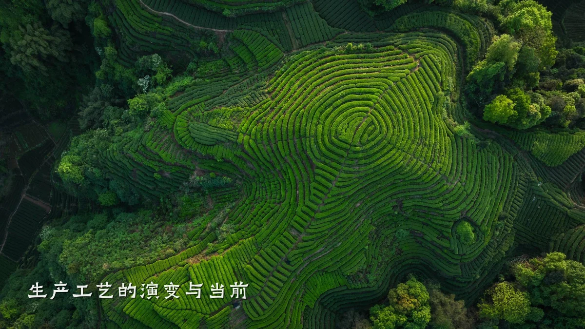 生产工艺的演变与当前