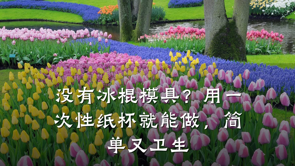 没有冰棍模具?用一次性纸杯就能做,简单又卫生