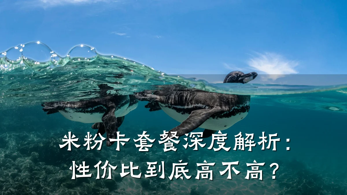 米粉卡套餐深度解析:性价比到底高不高?