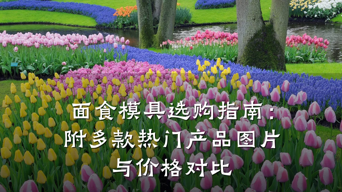 面食模具选购指南:附多款热门产品图片与价格对比