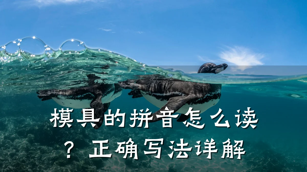 模具的拼音怎么读?正确写法详解