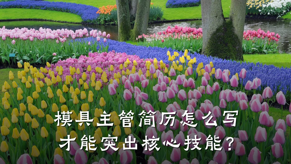 模具主管简历怎么写才能突出核心技能?