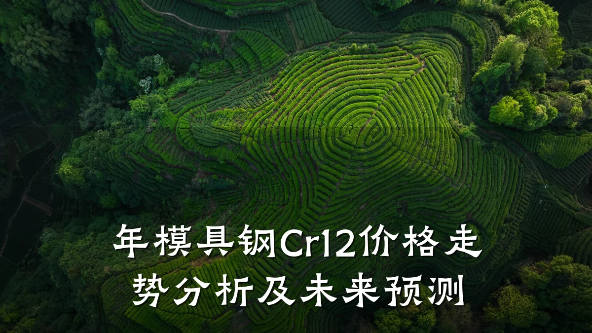 年模具钢Cr12价格走势分析及未来预测