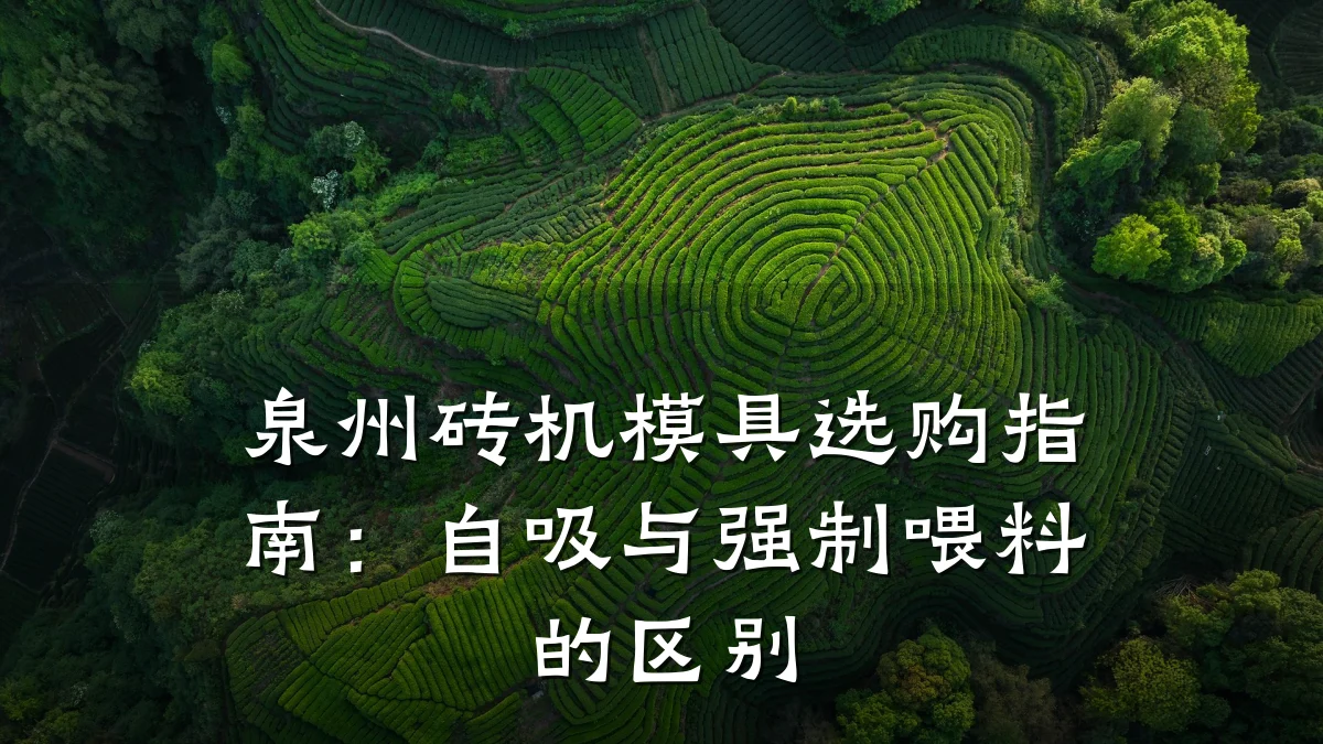 泉州砖机模具选购指南:自吸与强制喂料的区别