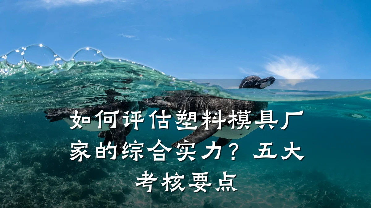 如何评估塑料模具厂家的综合实力?五大考核要点