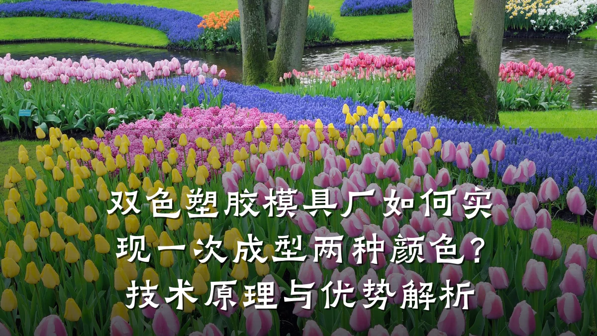 双色塑胶模具厂如何实现一次成型两种颜色?技术原理与优势解析