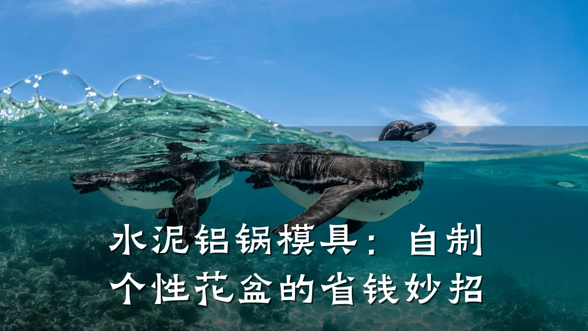水泥铝锅模具:自制个性花盆的省钱妙招