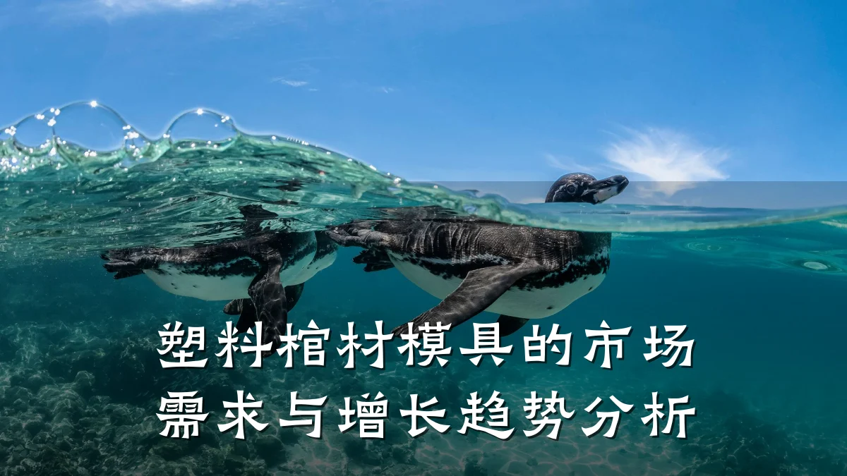塑料棺材模具的市场需求与增长趋势分析