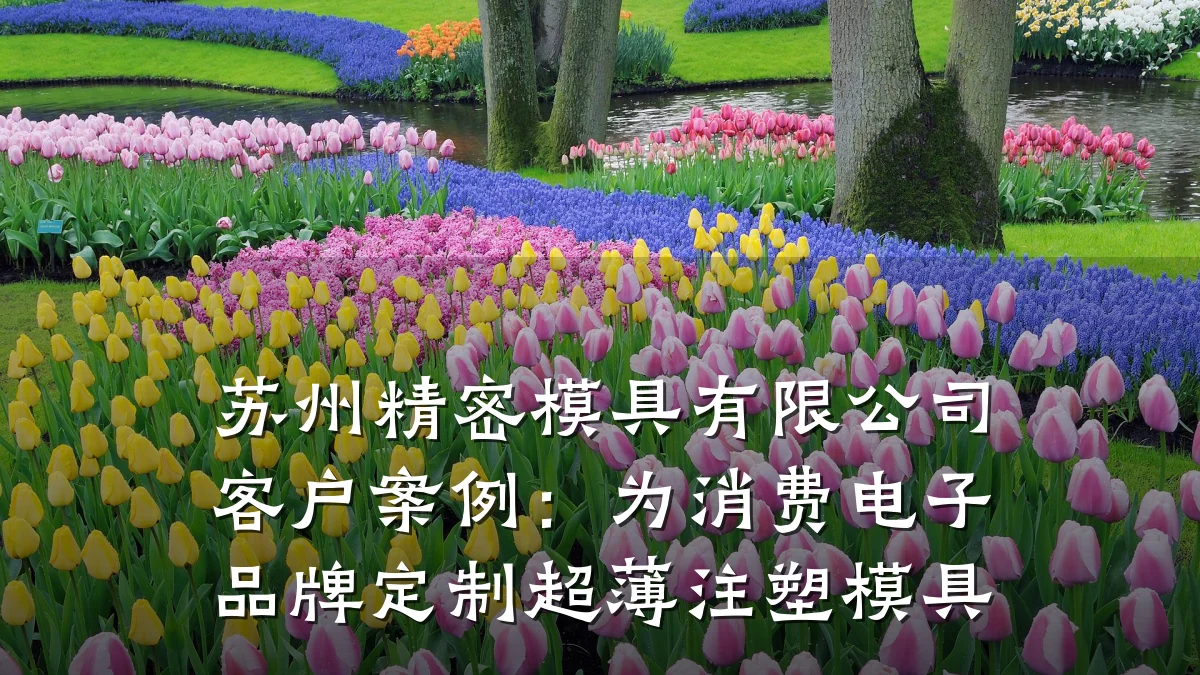苏州精密模具有限公司客户案例:为消费电子品牌定制超薄注塑模具