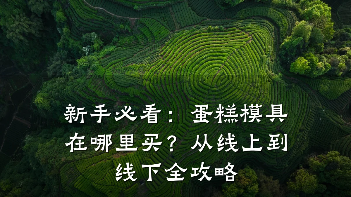 新手必看:蛋糕模具在哪里买?从线上到线下全攻略