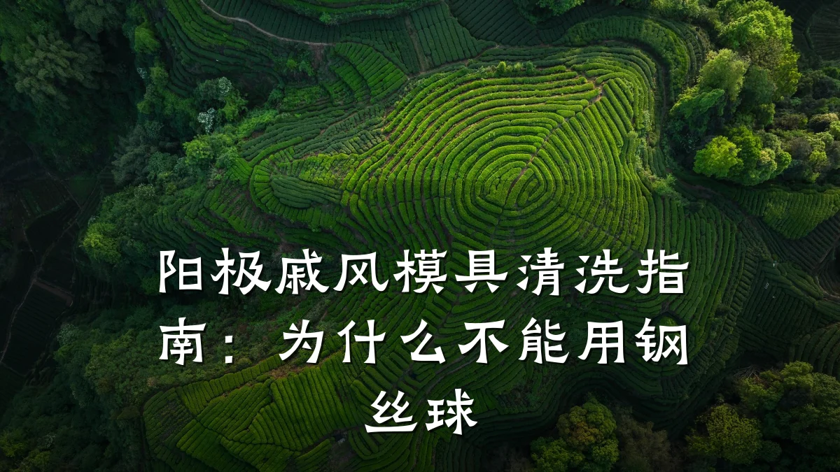 阳极戚风模具清洗指南:为什么不能用钢丝球