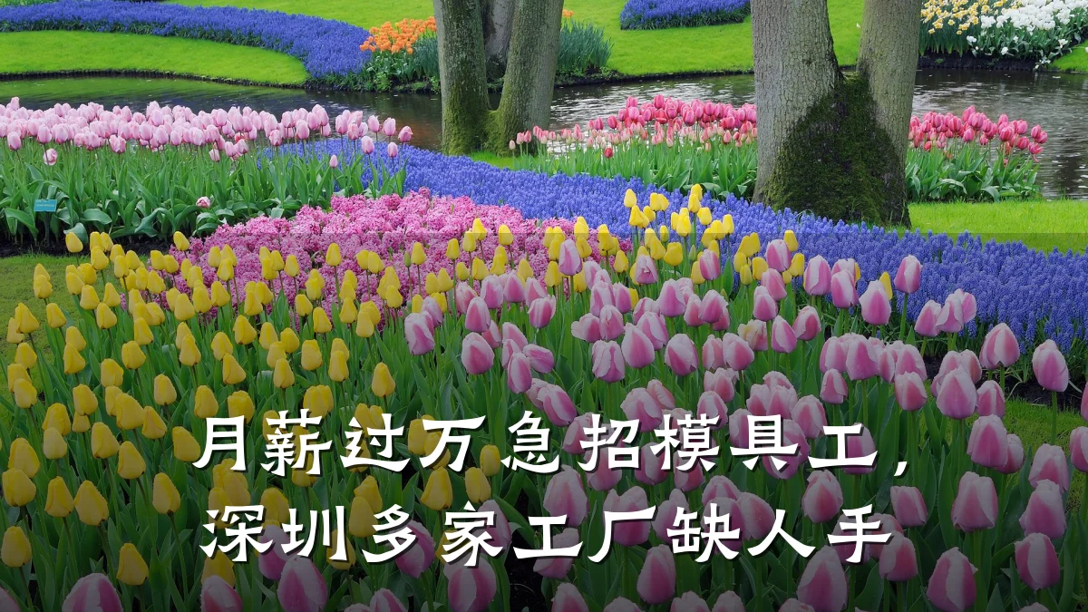 月薪过万急招模具工,深圳多家工厂缺人手