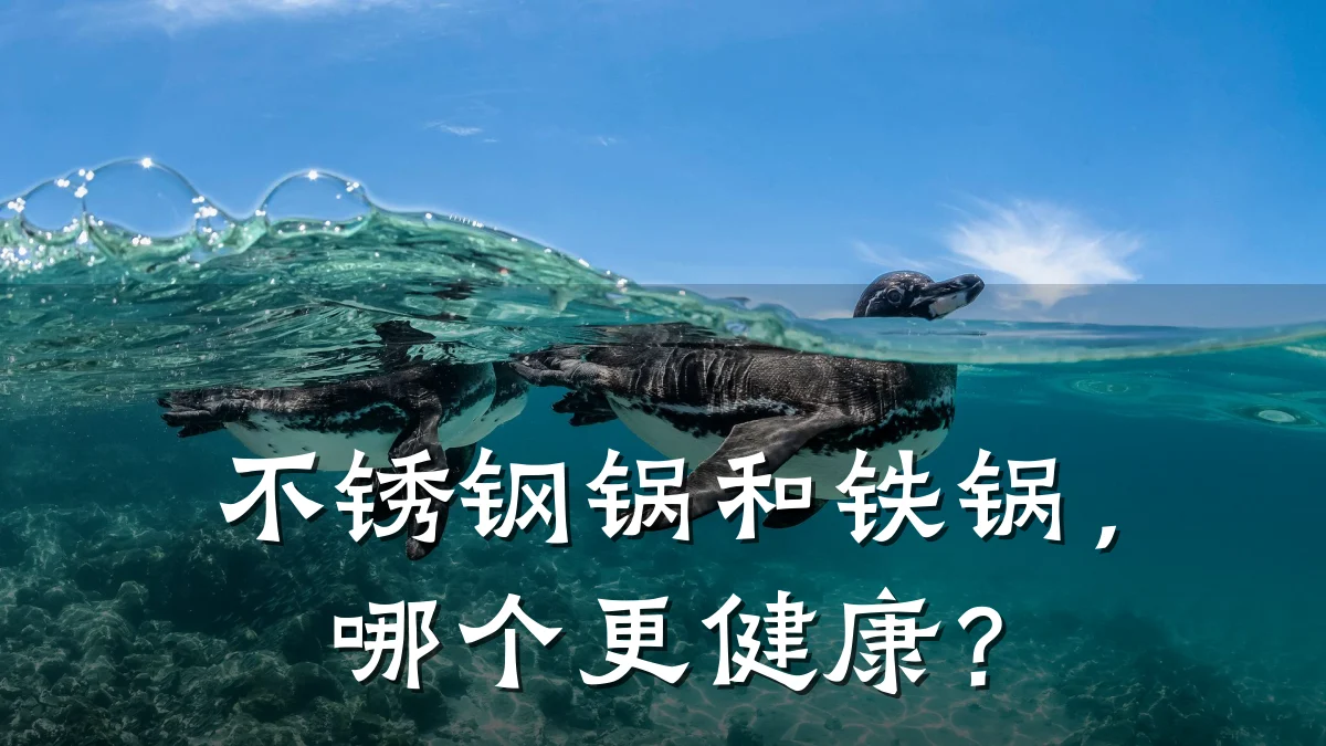 不锈钢锅和铁锅,哪个更健康?