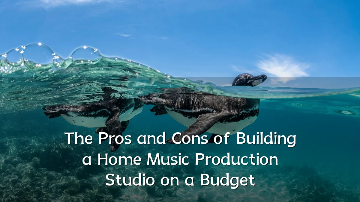The Pros and Cons of Building a Home Music Production Studio on a Budget