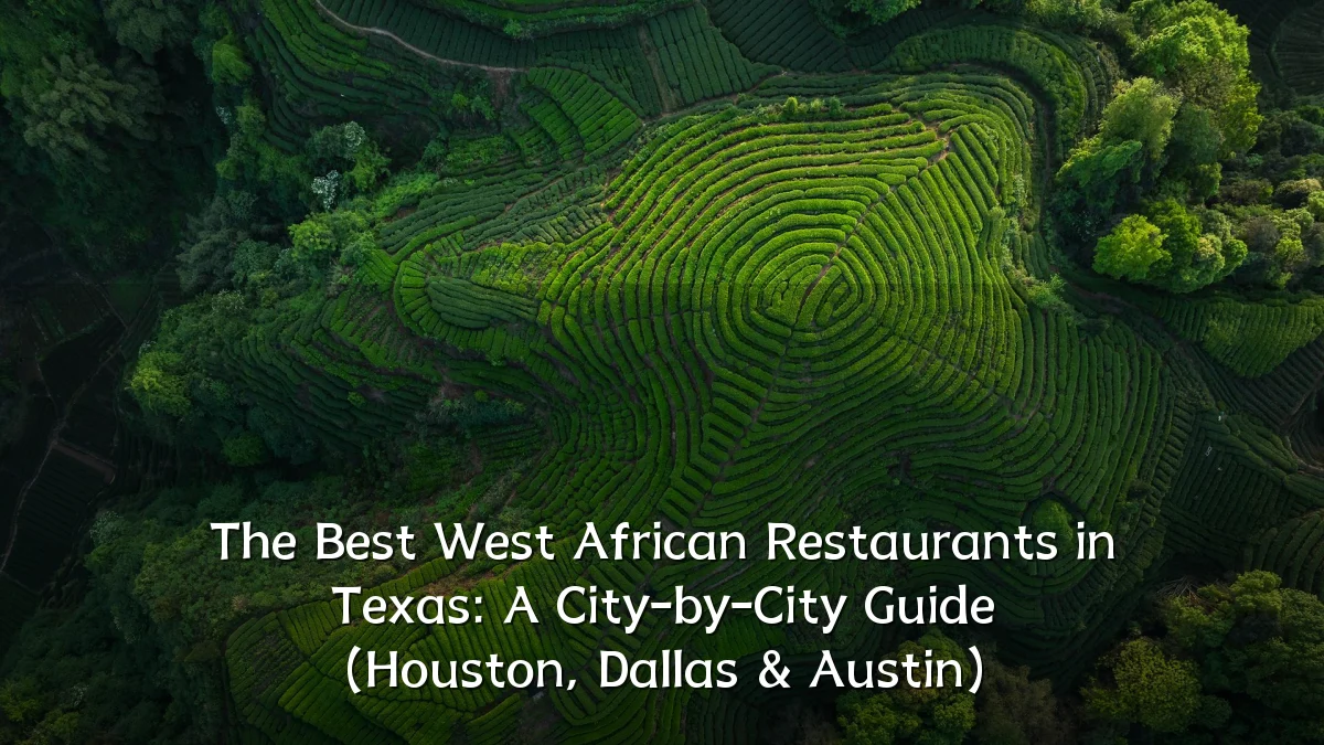 The Best West African Restaurants in Texas: A City-by-City Guide (Houston, Dallas & Austin)